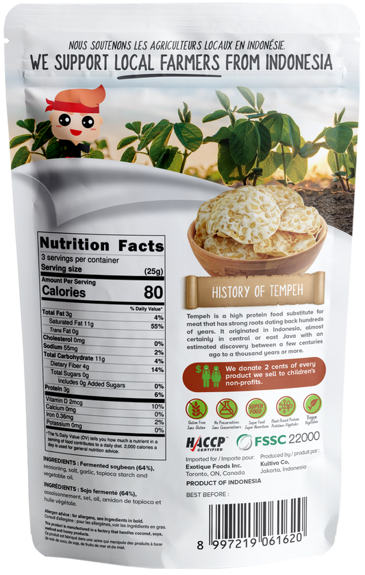 WOH Tempeh Chips Original - 70 Gr