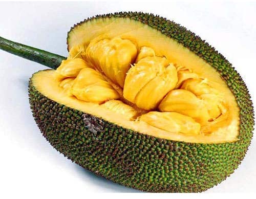 Momchipz Jackfruit Chips - 85 g | Healthy & Very Delicious | No Added Sugar